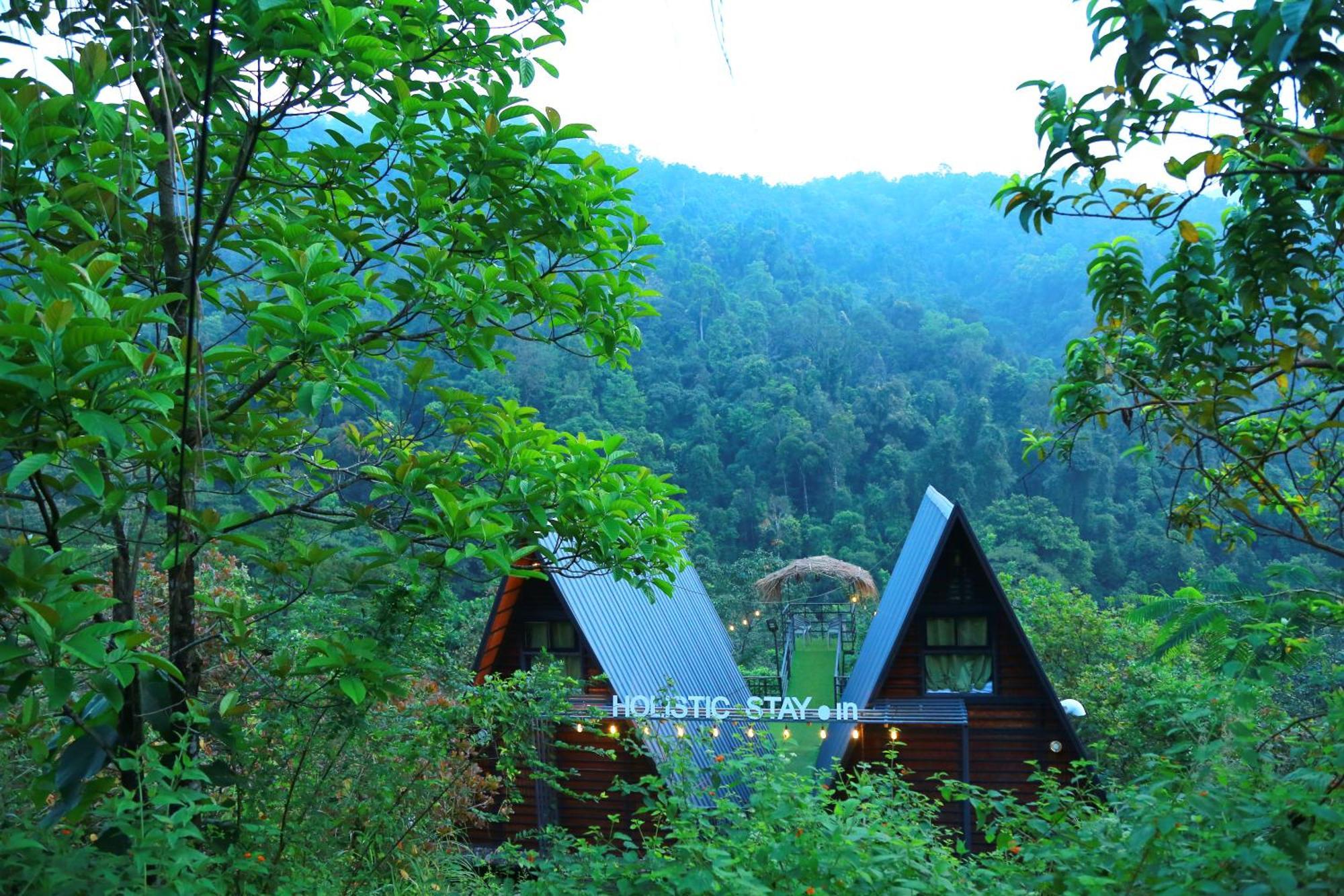 Holistic Stay Eco-Resort & Ayurvedic Retreat Paithalmala Zewnętrze zdjęcie